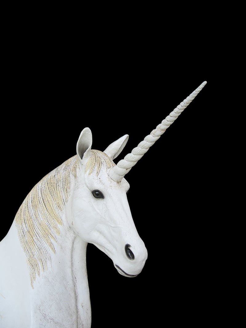 Unicorn Feasts